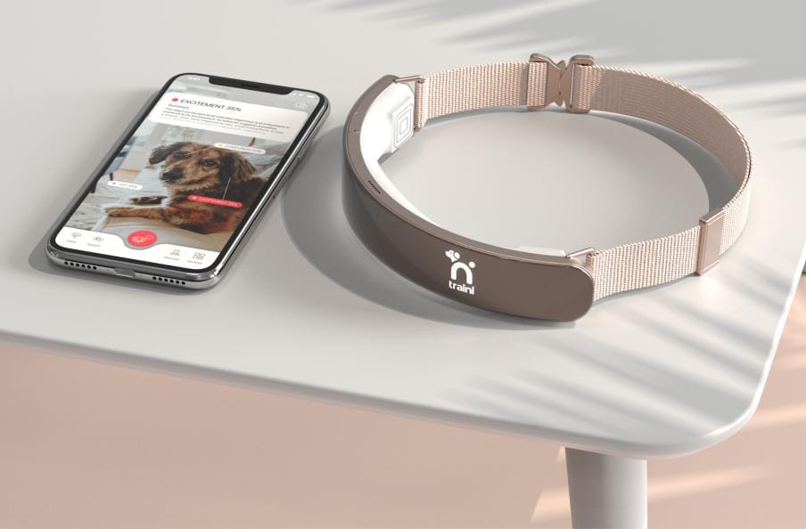AI-Powered Dog Translation Collar Raises $52 Million as Pet Tech Sector Heats Up
