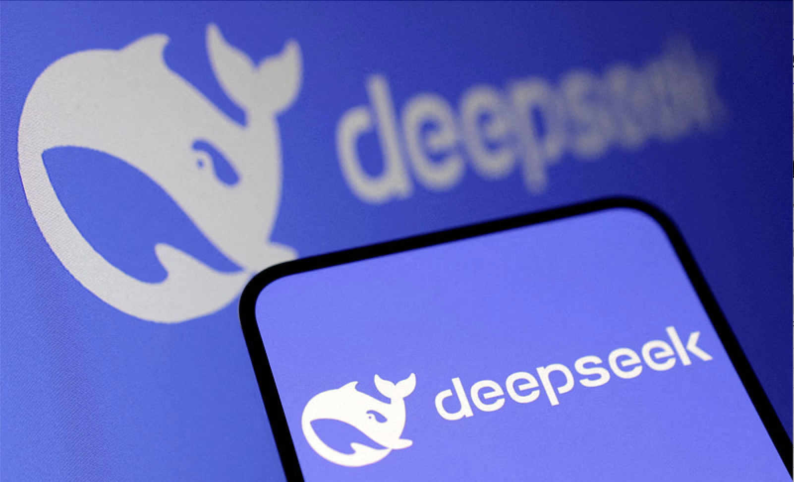 DeepSeek Posts 10x Revenue Surge, 82.9% API Margin as Valuation Nears $70B